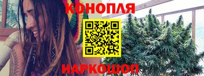 сатива Бузулук