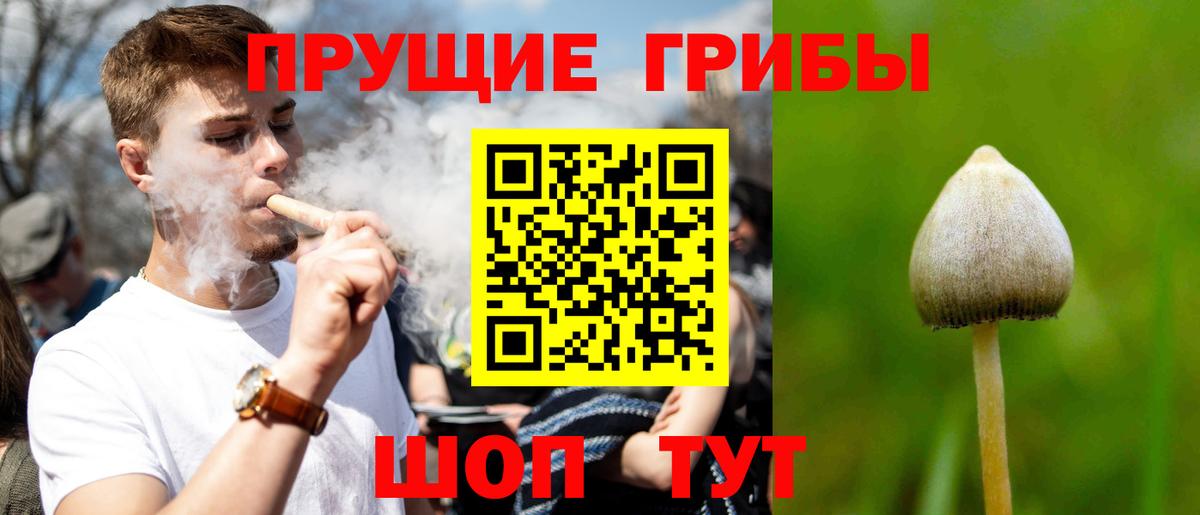 Псилоцибиновые грибы ЛСД  Вход с VPN  Чехов 