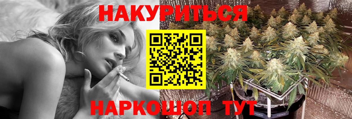 Марихуана сатива Чехов